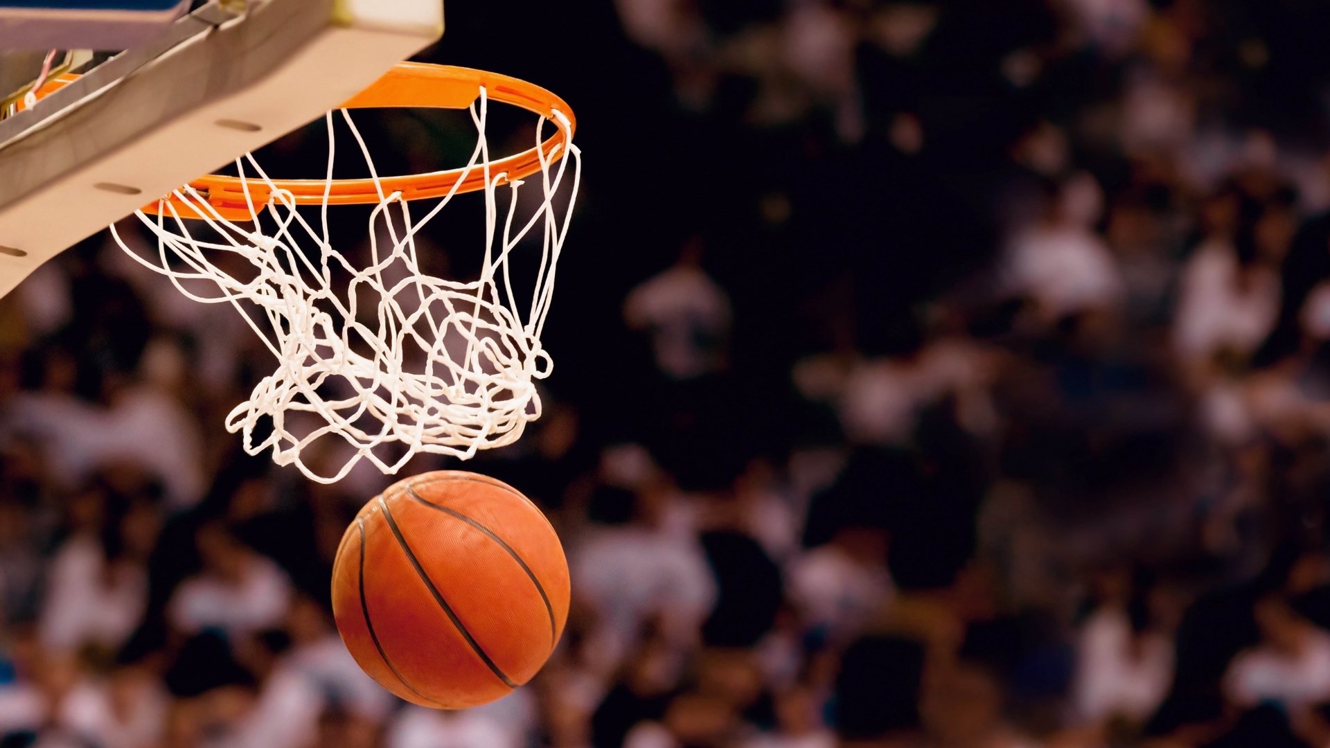 NBA西部风云,国王备战湖人微调,掘金连胜改格局